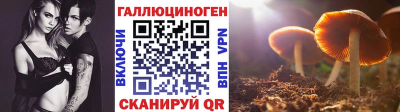 наркошоп  MEGA tor  Псилоцибиновые грибы GOLDEN TEACHER  Истра 